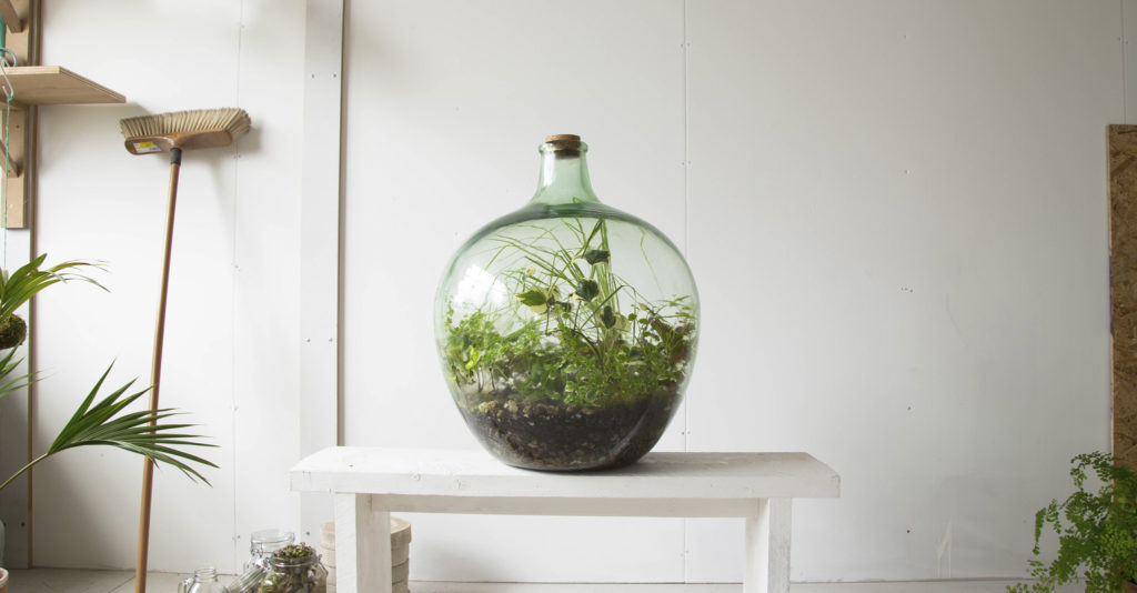 A London Terrariums creation