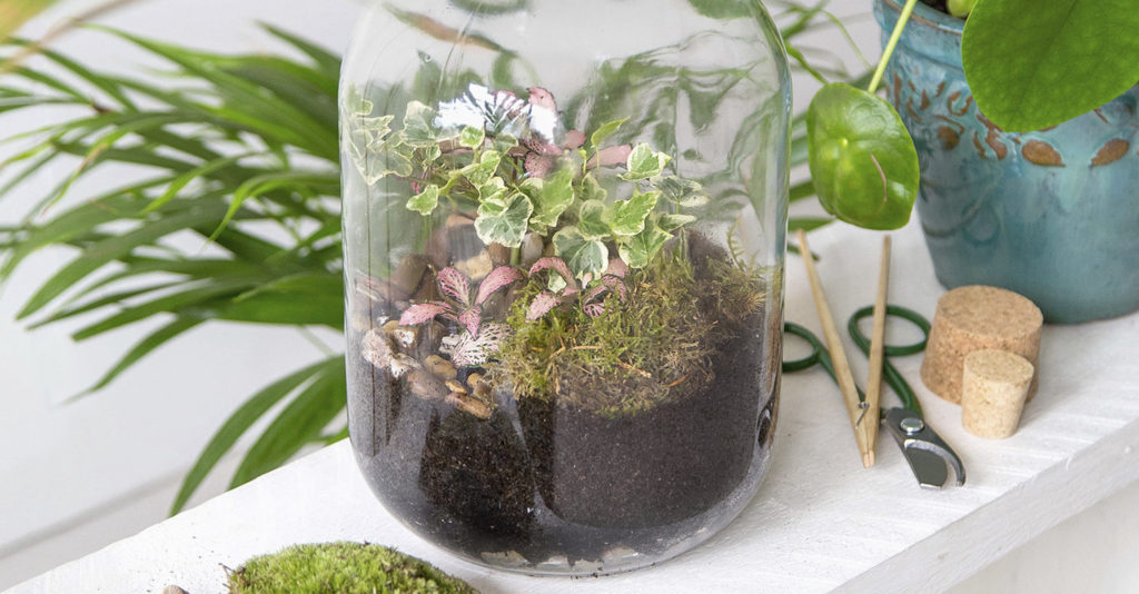 A London Terrariums creation filled with houseplants