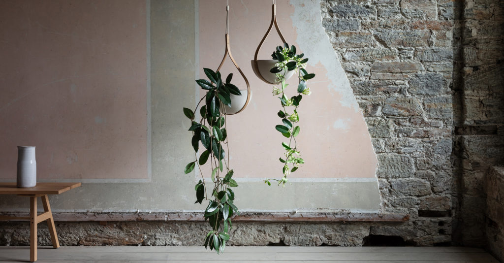 Tom Raffield steam-bent hanging plants