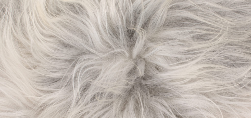 A grey-white sheepskin rug